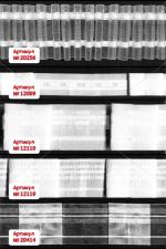 ширит за пердета - модел 20256 , 12069 , 12110 , 12119  и  20414